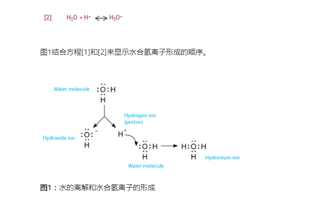氫氧化鈉和鹽酸的反應